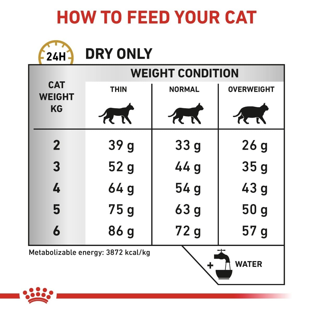 Feeding chart for cats with weight and size guidelines on a white background