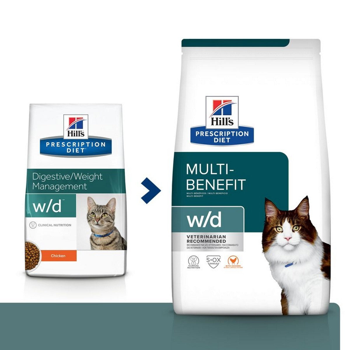 Cat food for weight control