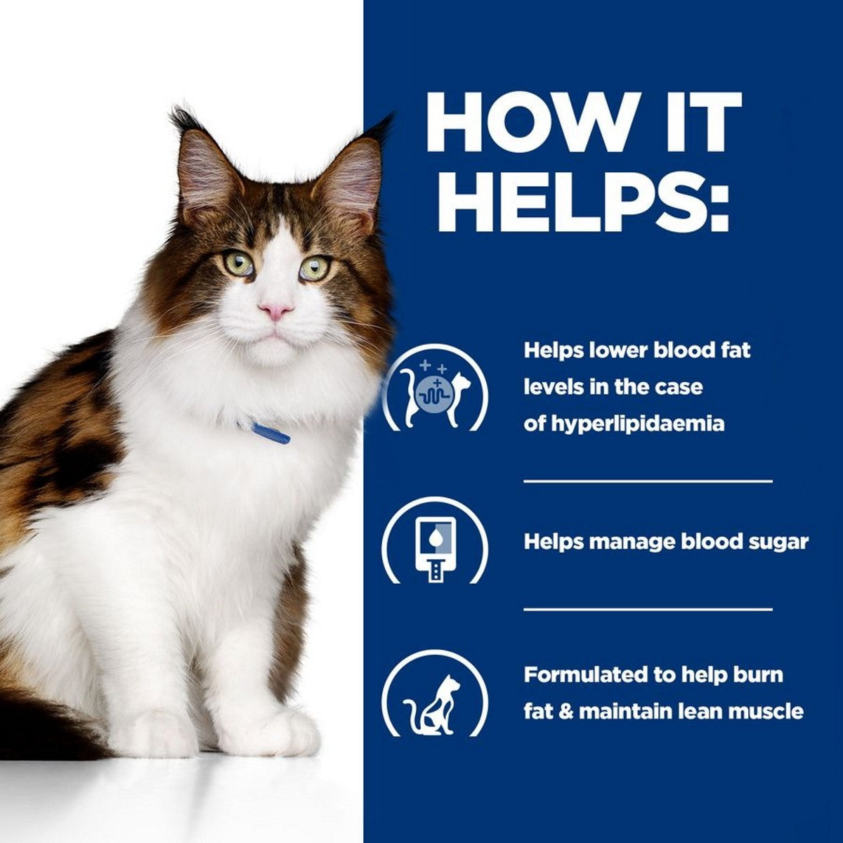 Glucose management feline diet