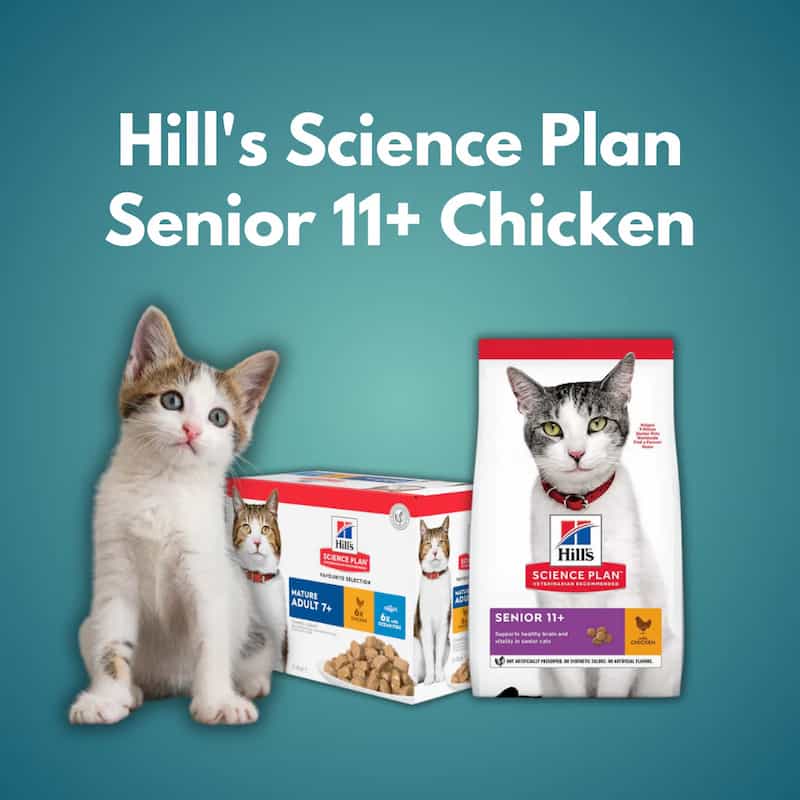 Hill's Science Plan Senior 11+ Chicken cat food packaging with a kitten on a blue background
