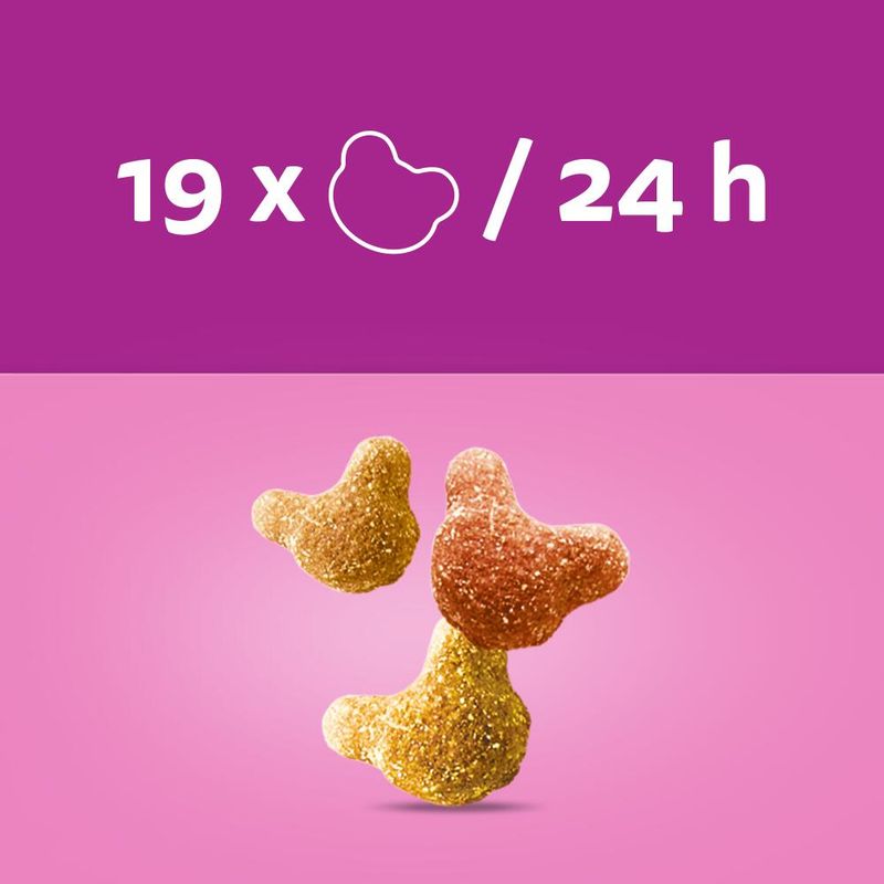 Two glittery dog treats on a pink background with text '19 x / 24 h' on a purple background.