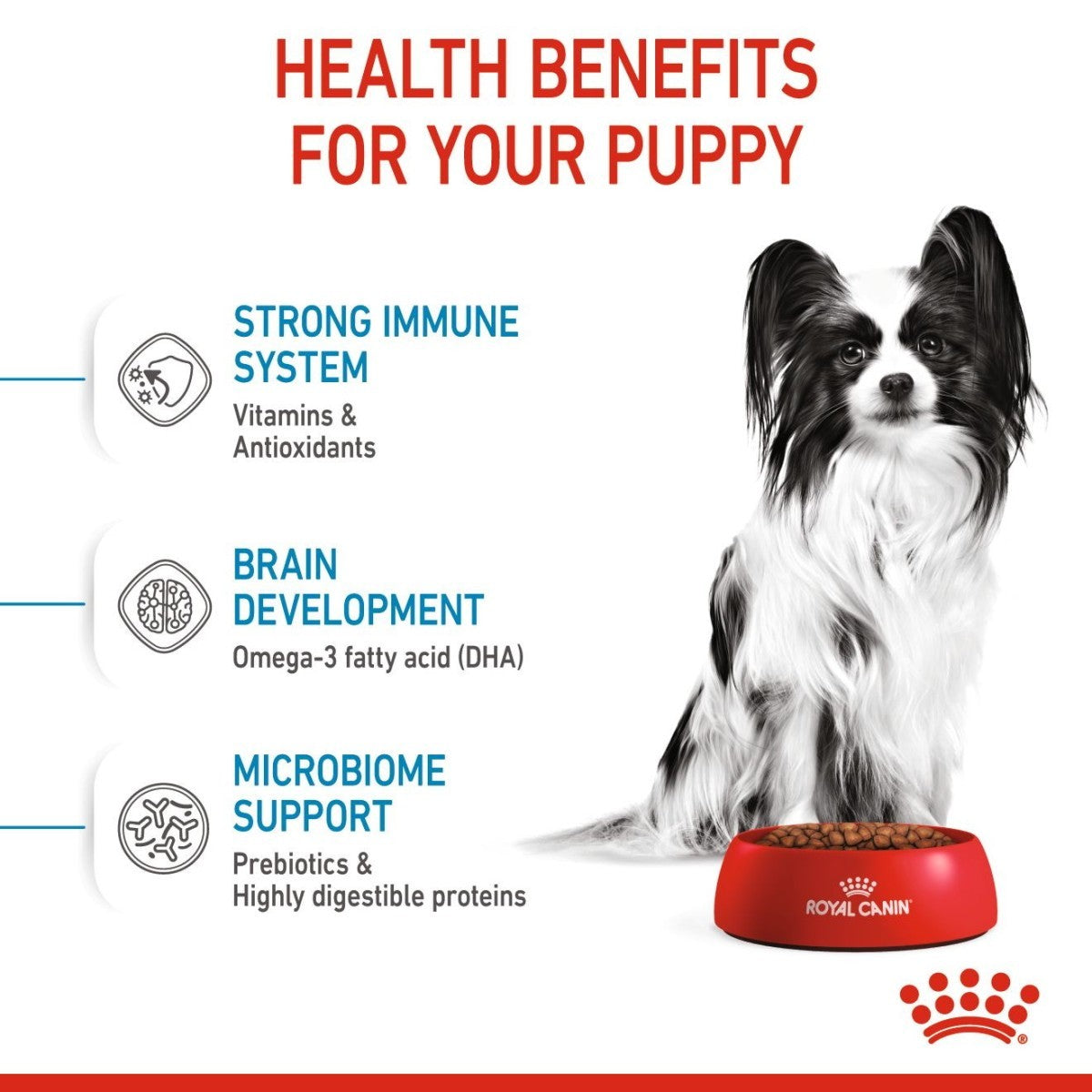 Royal Canin advertisement highlighting health benefits for puppies with a dog and food bowl on a white background.