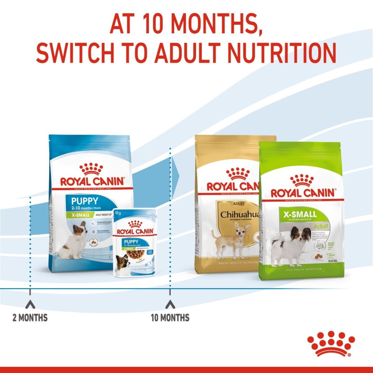 Royal Canin dog food packages with text indicating switching to adult nutrition at 10 months.