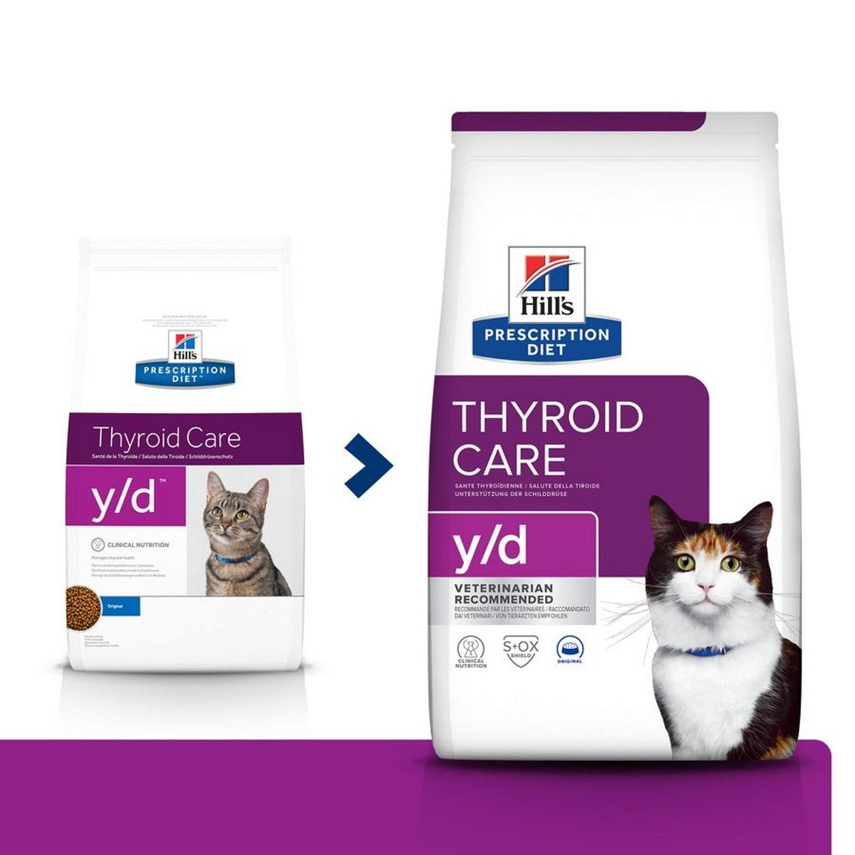 Cat thyroid support diet