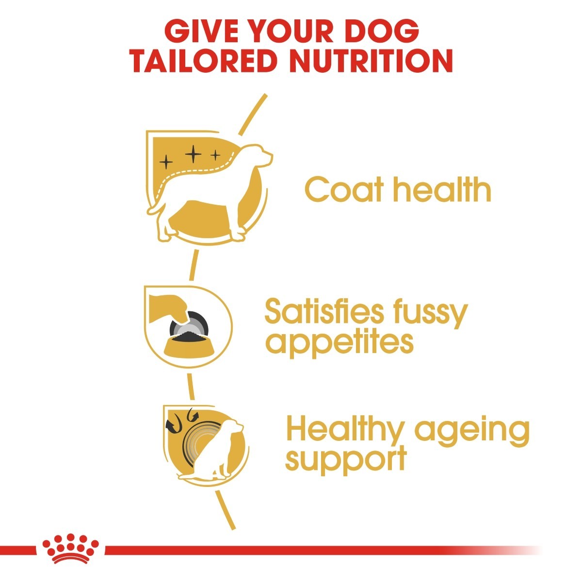Dog food brand advertisement highlighting tailored nutrition for dogs with coat health, satisfying fussy appetites, and healthy ageing support.