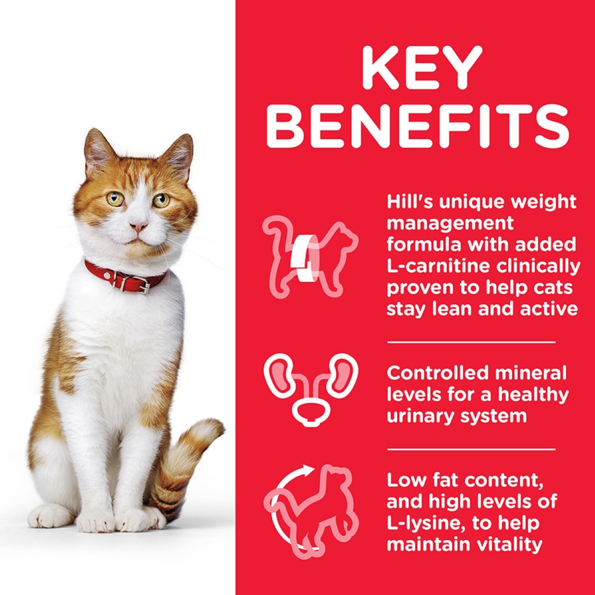 Hill's Science Plan for cats
