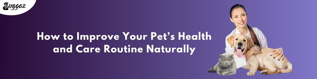 How to Improve Your Pet’s Health and Care Routine Naturally