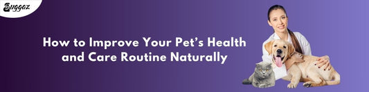 How to Improve Your Pet’s Health and Care Routine Naturally
