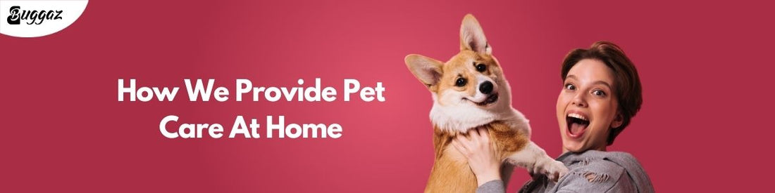 pet care at home