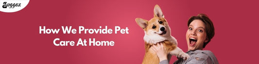 pet care at home