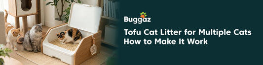 Tofu Cat Litter for Multiple Cats: How to Make It Work