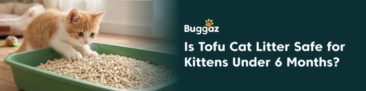 Is Tofu Cat Litter Safe for Kittens Under 6 Months?