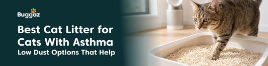Best Cat Litter for Cats With Asthma: Low-Dust Options That Help