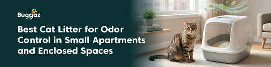 Best Cat Litter for Odor Control in Small Apartments and Enclosed Spaces