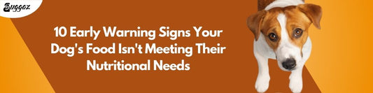 10 earlt signs dog food not meeting theire  butritionll needs