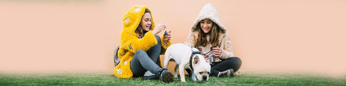 Seasonal Changes and Pet Behavior