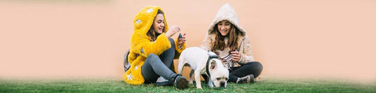 Seasonal Changes and Pet Behavior