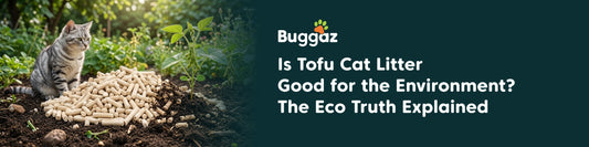 Is Tofu Cat Litter Good for the Environment? The Eco Truth Explained
