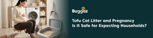 Tofu Cat Litter and Pregnancy: Is It Safe for Expecting Households?