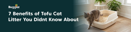 7 Benefits of Tofu Cat Litter You Didn't Know About