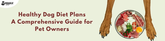 healthy dog diet plan
