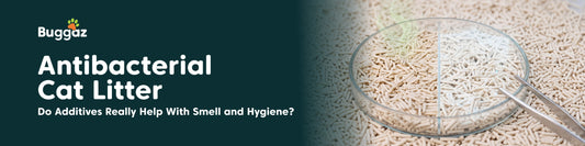 Antibacterial Cat Litter: Do Additives Really Help With Smell and Hygiene?