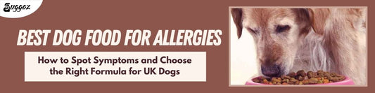 best dog food fro alllergies