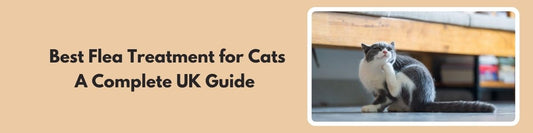 best flea treatment for dogs