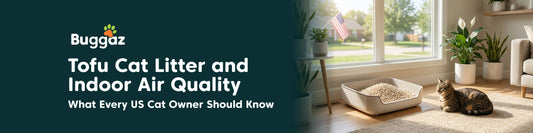 Tofu Cat Litter and Indoor Air Quality: What Every US Cat Owner Should Know