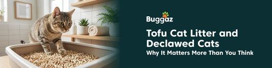 Tofu Cat Litter and Declawed Cats: Why It Matters More Than You Think