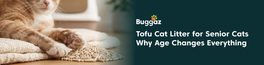 Tofu Cat Litter for Senior Cats: Why Age Changes Everything
