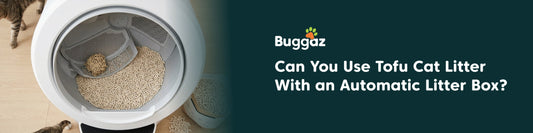 Can You Use Tofu Cat Litter With an Automatic Litter Box?