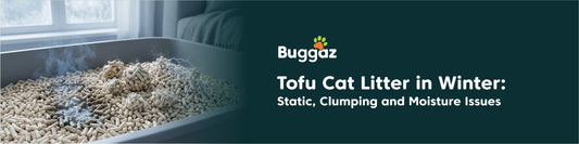 tufu cat litter in winter