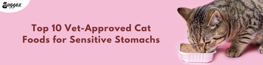 Top 10 Vet-Approved Cat Foods for Sensitive Stomachs