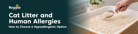 Cat Litter and Human Allergies: How to Choose a Hypoallergenic Option