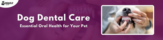 dog dental care