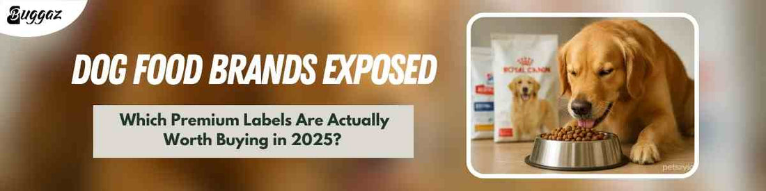 dog food brand expands