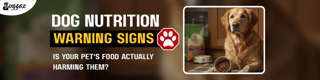 Dog nutrition warning signs
