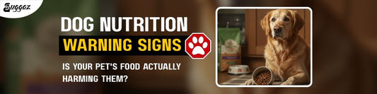 Dog nutrition warning signs