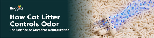 How Cat Litter Controls Odor: The Science of Ammonia Neutralization