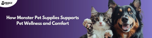 How Monster Pet Supplies Supports Pet Wellness and Comfort
