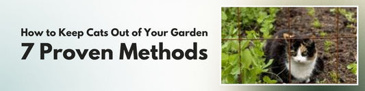 How to Train Your Dog