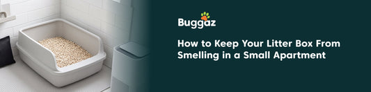 How to Keep Your Litter Box From Smelling in a Small Apartment