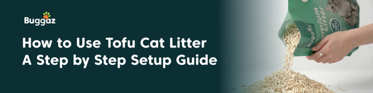 How to Use Tofu Cat Litter— A Step-by-Step Setup Guide