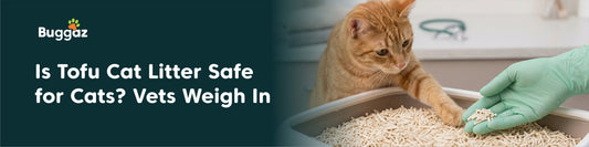 Is Tofu Cat Litter Safe for Cats? Vets Weigh In