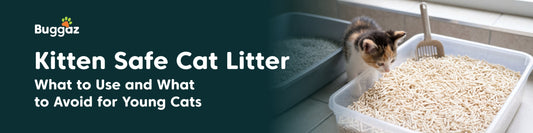Kitten-Safe Cat Litter