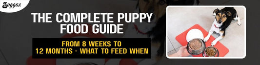 puppy food guide