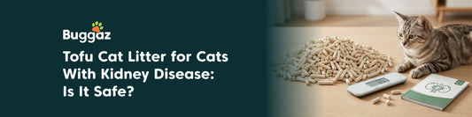 Tofu Cat Litter for Cats With Kidney Disease: Is It Safe?