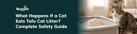 What Happens If a Cat Eats Tofu Cat Litter? Complete Safety Guide
