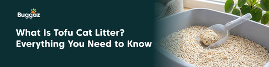 What Is Tofu Cat Litter? Everything You Need to Know